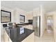 50 Cromwell Street, Leichhardt NSW 2040