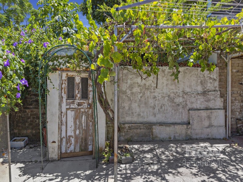 50 Thornley Street, Leichhardt NSW 2040