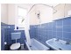 17 Leichhardt Street, Leichhardt NSW 2040