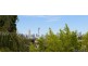 101 Lamb Street, Lilyfield NSW 2040