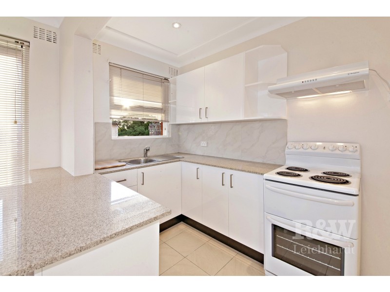 51 Marion St, Leichhardt NSW 2040