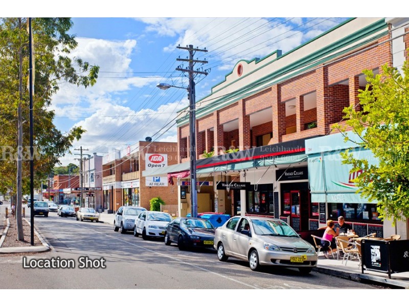 16 Campbell Street, Abbotsford NSW 2046