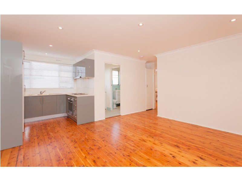 2/11a Emmerick Street, Lilyfield NSW 2040