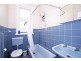 17 Leichhardt Street, Leichhardt NSW 2040