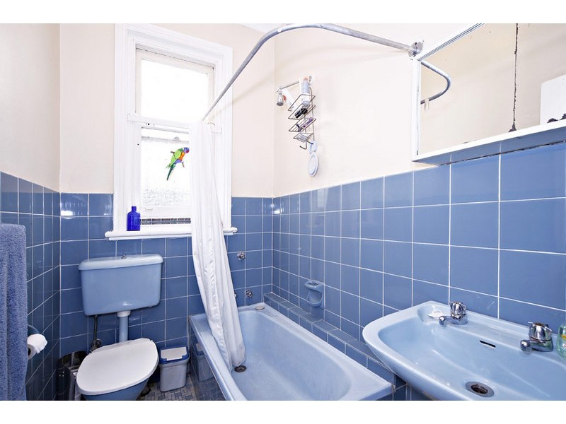 17 Leichhardt Street, Leichhardt NSW 2040