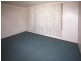 49A Albert Street, Leichhardt NSW 2040