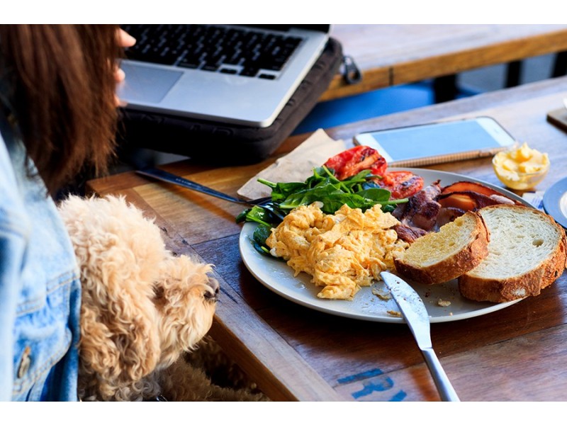 9/10 Emma Street, Leichhardt NSW 2040