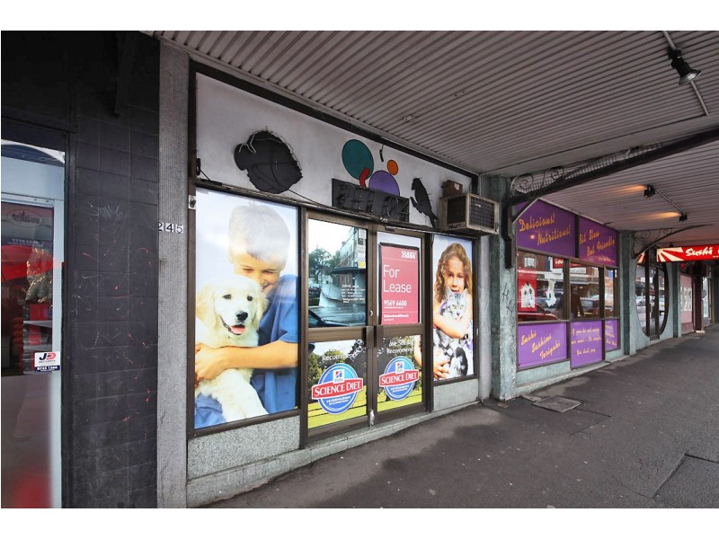 245a Parramatta Road, Annandale NSW 2038