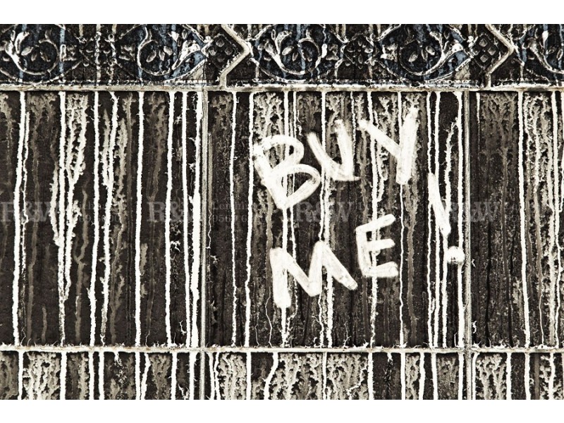 81 Frederick Street, St Peters NSW 2044