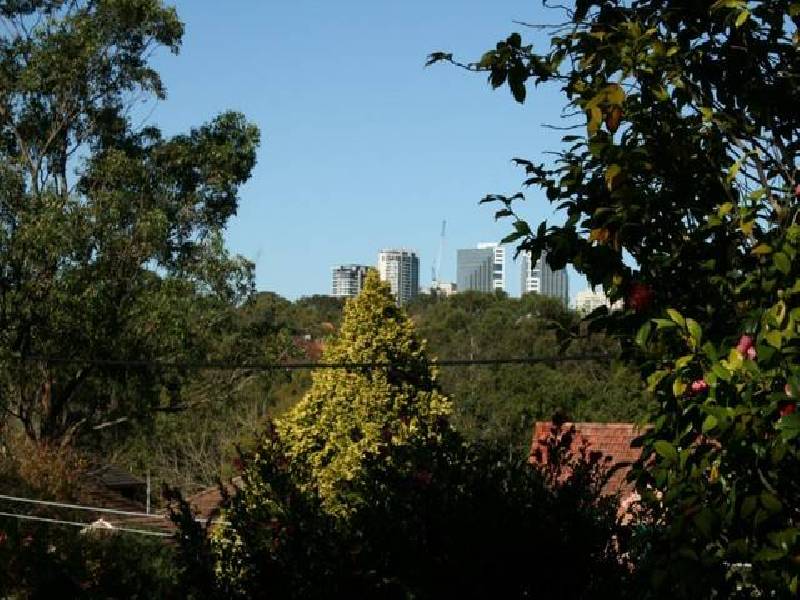 65 ABINGDON ROAD, Roseville NSW 2069