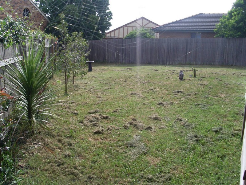 Quakers Hill NSW 2763