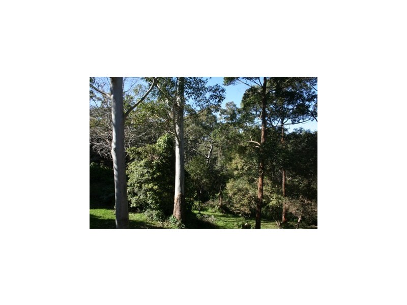 7 Bluegum Place, Roseville NSW 2069