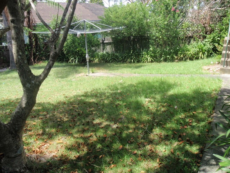 3 Scott Crescent, Roseville NSW 2069