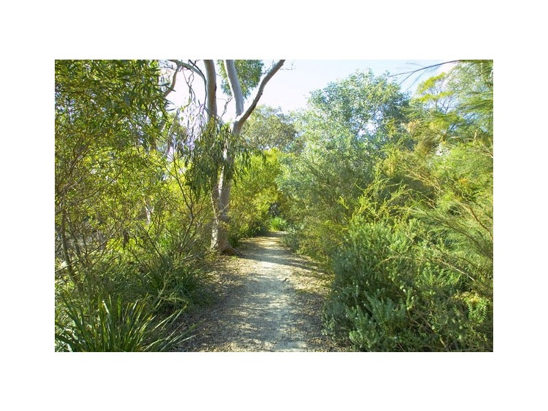 19 Mulbring Street, Mosman NSW 2088