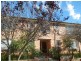 2/130 Ben Boyd Road, Neutral Bay NSW 2089