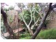 38/7 Lavender Street, Mcmahons Point NSW 2060