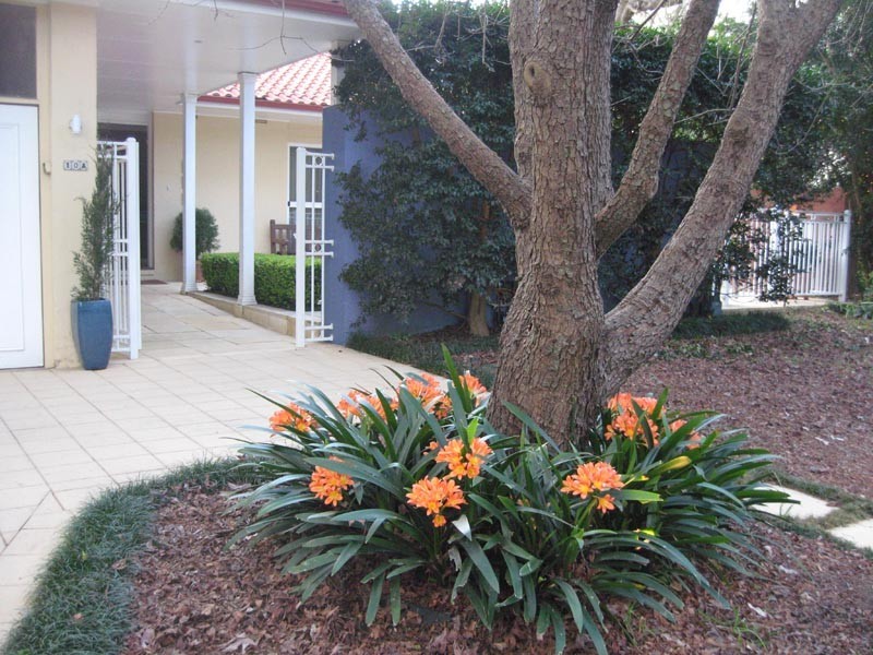 10A Winton Street, Warrawee NSW 2074