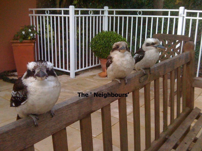 10A Winton Street, Warrawee NSW 2074