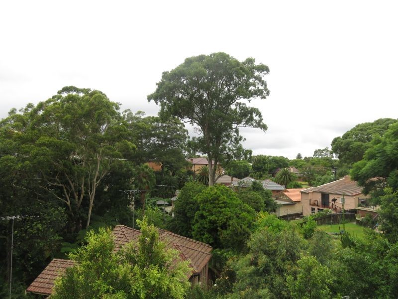 21/3-5 Nola Road, Roseville NSW 2069