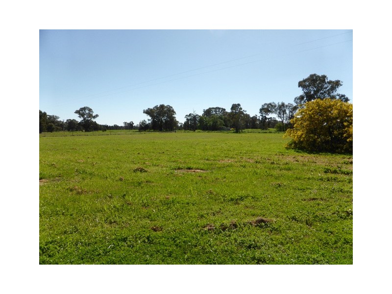 7 Kadina Street, Alectown NSW 2870