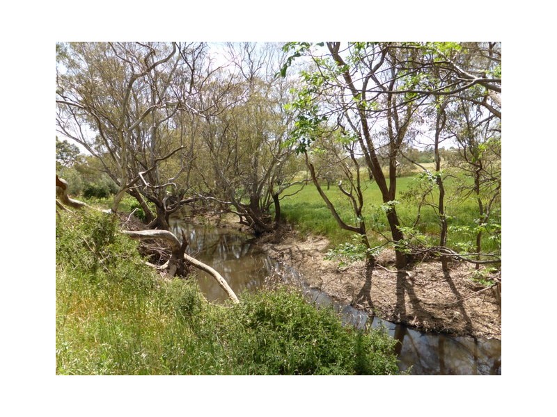 82 Pine Road, Parkes NSW 2870