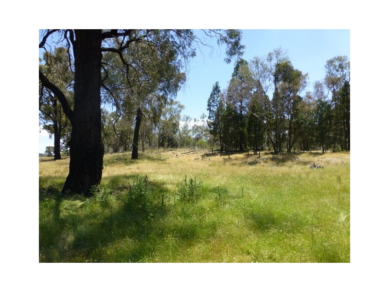 597 Bocobra Rd, Manildra NSW 2865