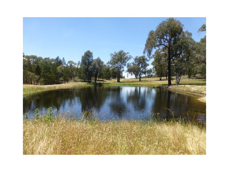 597 Bocobra Rd, Manildra NSW 2865