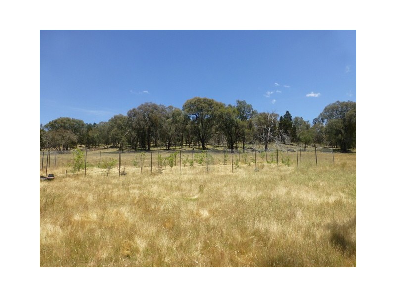 597 Bocobra Rd, Manildra NSW 2865