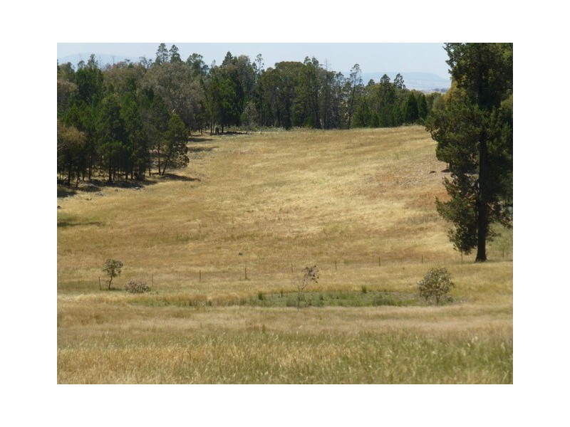 597 Bocobra Rd, Manildra NSW 2865