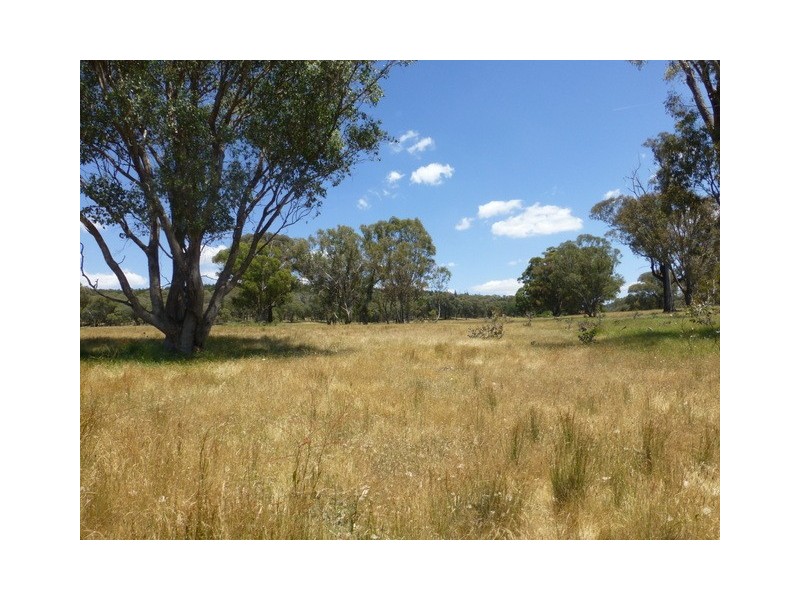 597 Bocobra Rd, Manildra NSW 2865