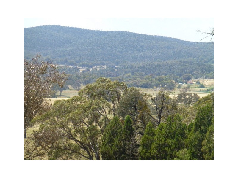 597 Bocobra Rd, Manildra NSW 2865