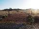 Lot 2 Nash Street, Parkes NSW 2870