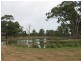Tullamore NSW 2874