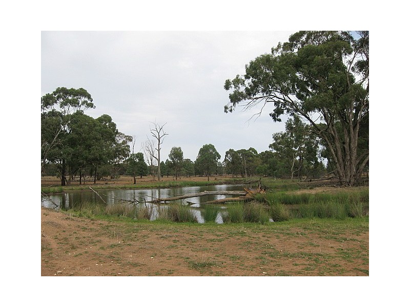 Tullamore NSW 2874