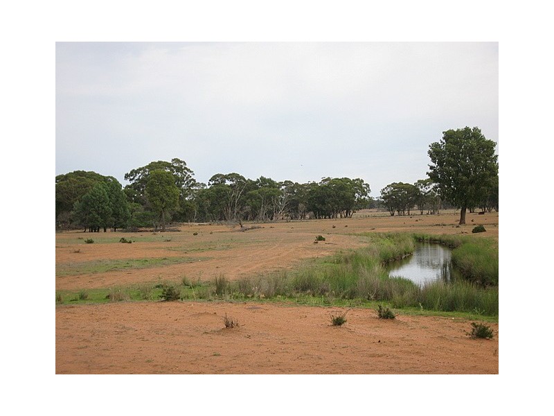 Tullamore NSW 2874