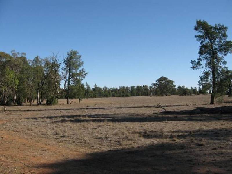Gunningbland NSW 2876
