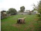 69 Forbes Road, Parkes NSW 2870