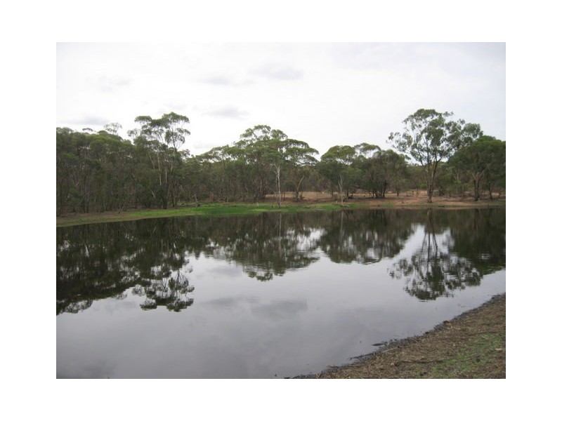 Tullamore NSW 2874