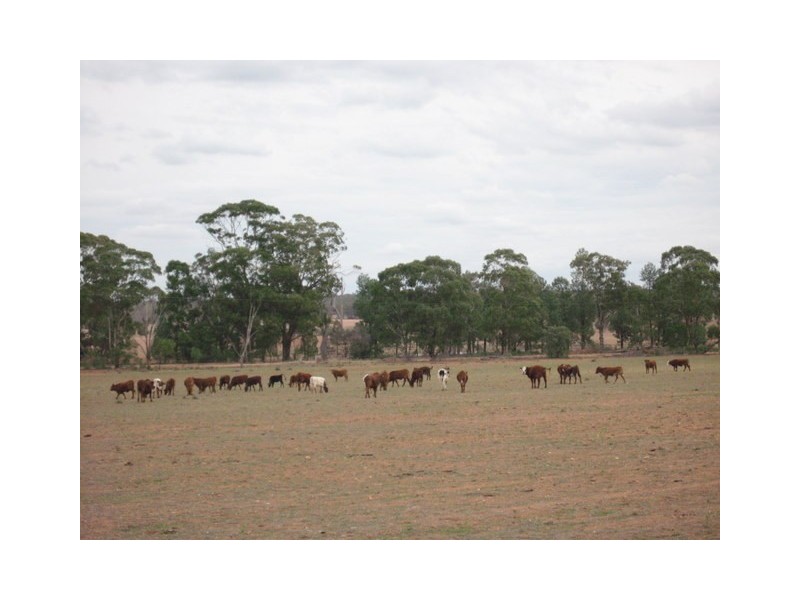 Tullamore NSW 2874