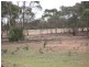 Tullamore NSW 2874