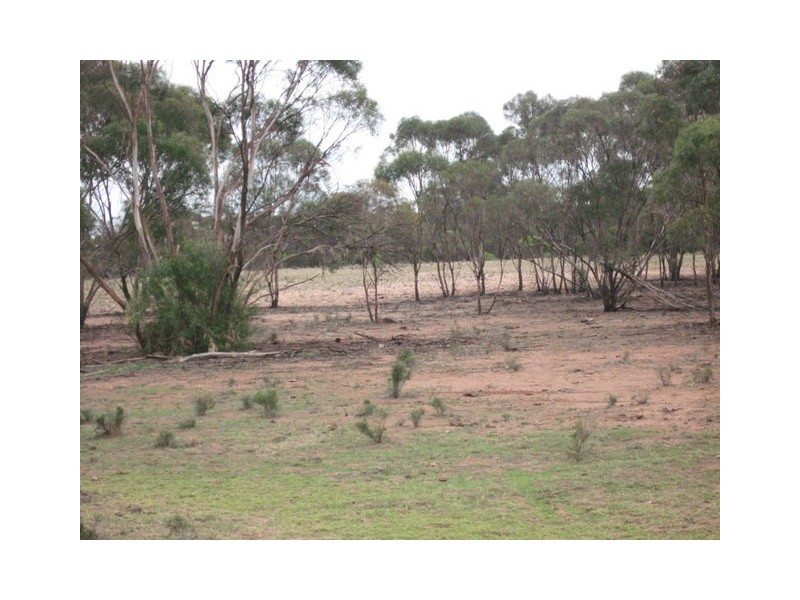 Tullamore NSW 2874