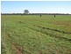 Trundle NSW 2875