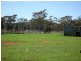 Trundle NSW 2875