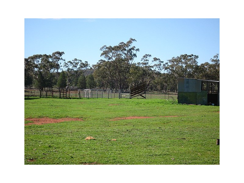Trundle NSW 2875