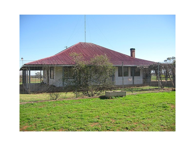 Trundle NSW 2875
