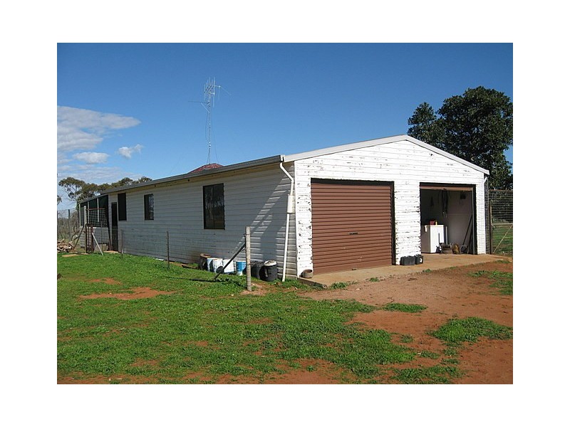 Trundle NSW 2875