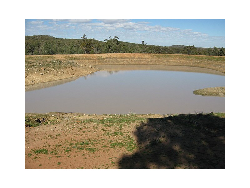 Trundle NSW 2875