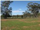 Trundle NSW 2875