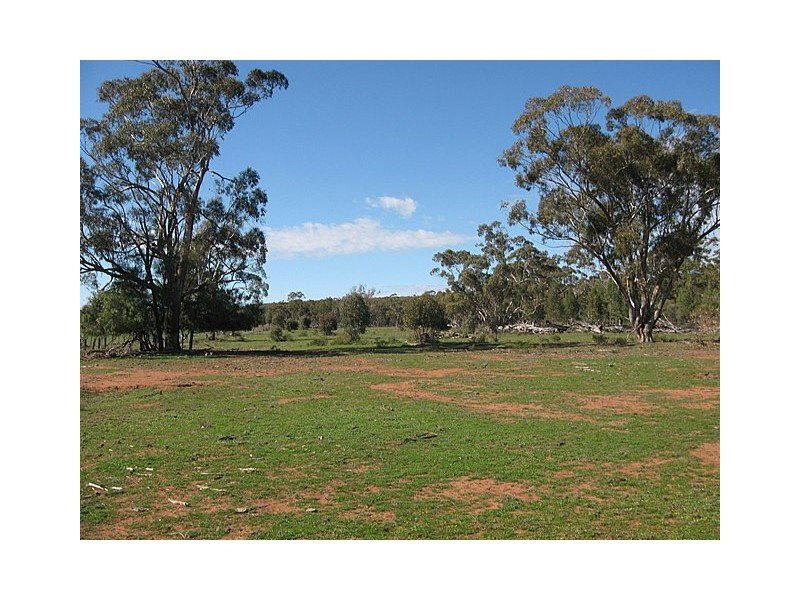 Trundle NSW 2875