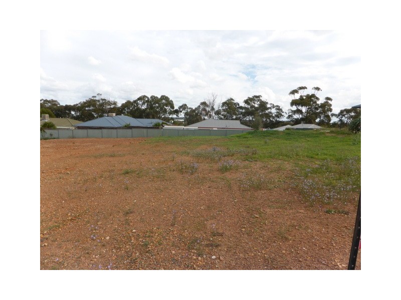 24 Vaucluse Place, Parkes NSW 2870